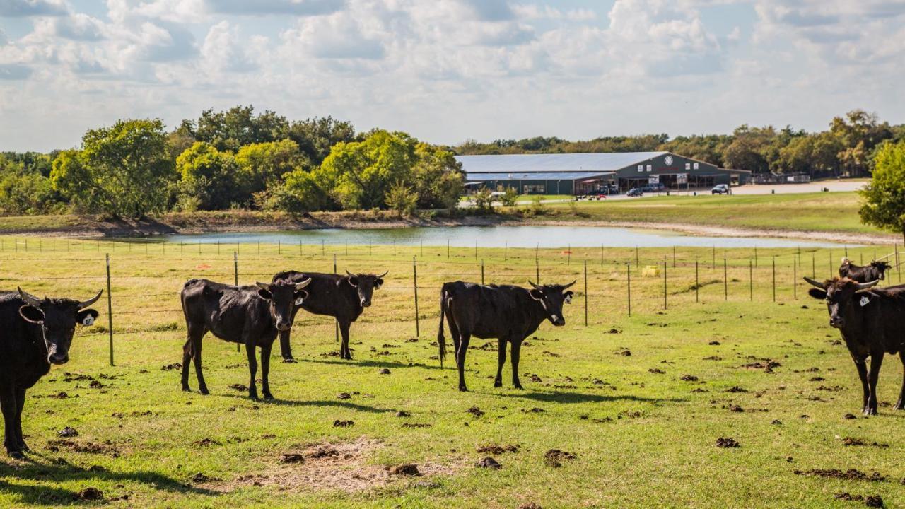 Hotel Nrs Event Center & Guest Ranch Decatur Exterior foto